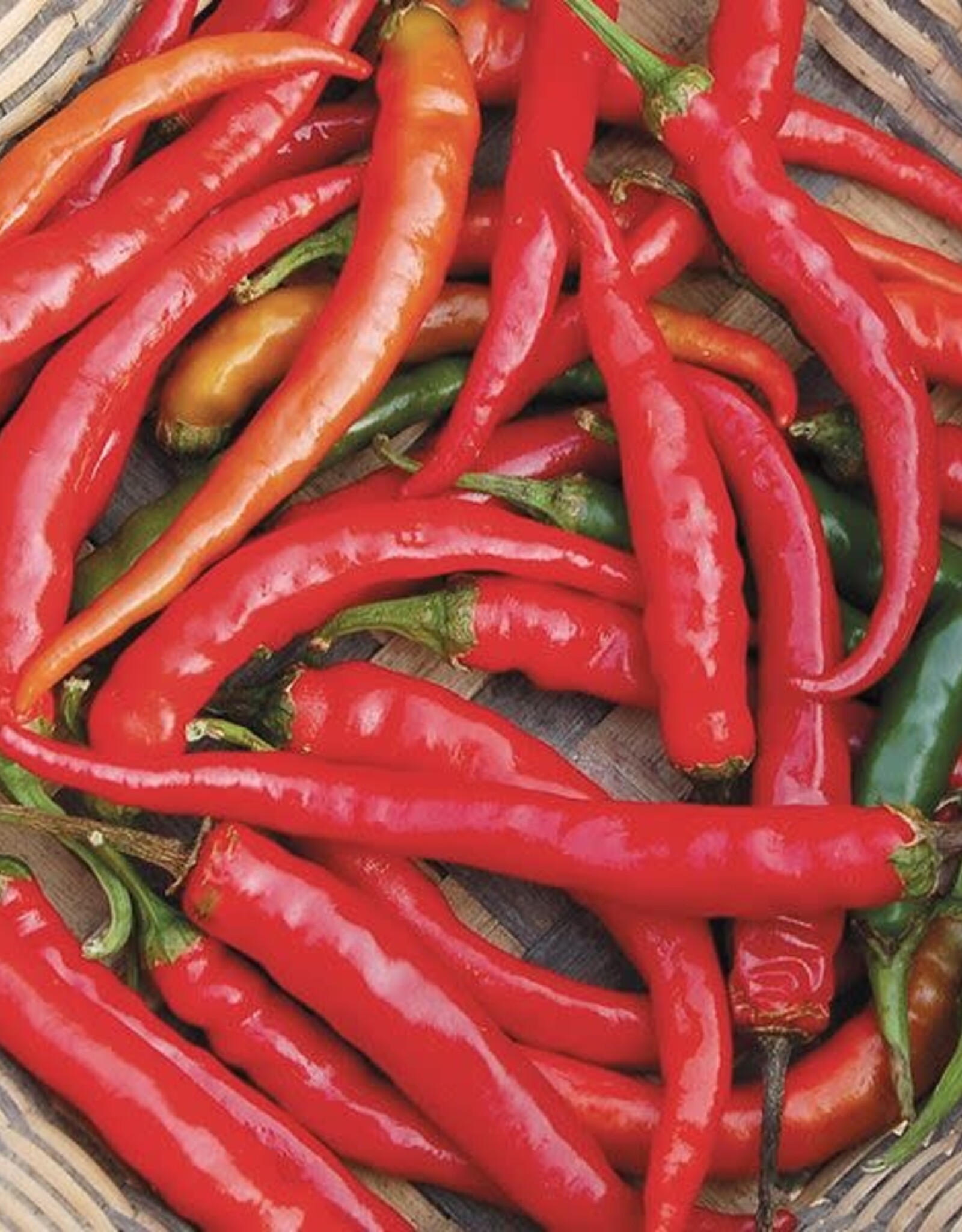 High Mowing Seed HM Ring-O-Fire Cayenne Pepper  1/64 OZ