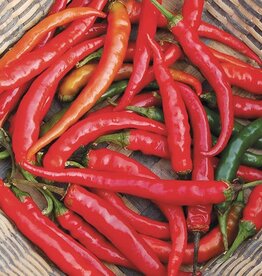 High Mowing Seed HM Ring-O-Fire Cayenne Pepper: 1/64 OZ