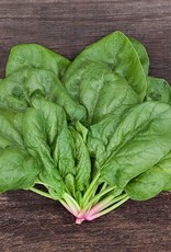 High Mowing Seed HM Butterflay Spinach  1/4 OZ