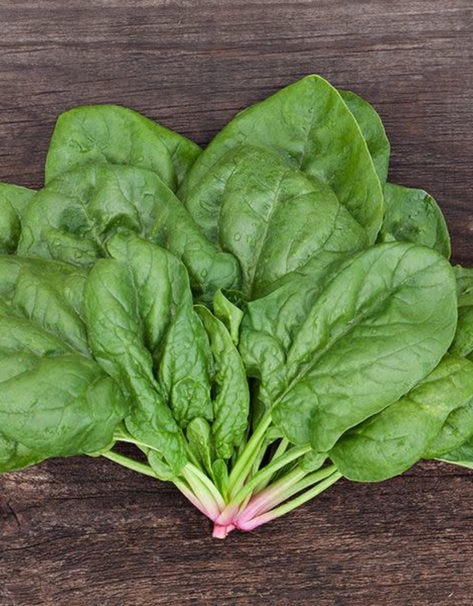 High Mowing Seed HM Butterflay Spinach  1/4 OZ