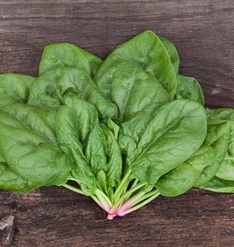 High Mowing Seed HM Butterflay Spinach  1/4 OZ