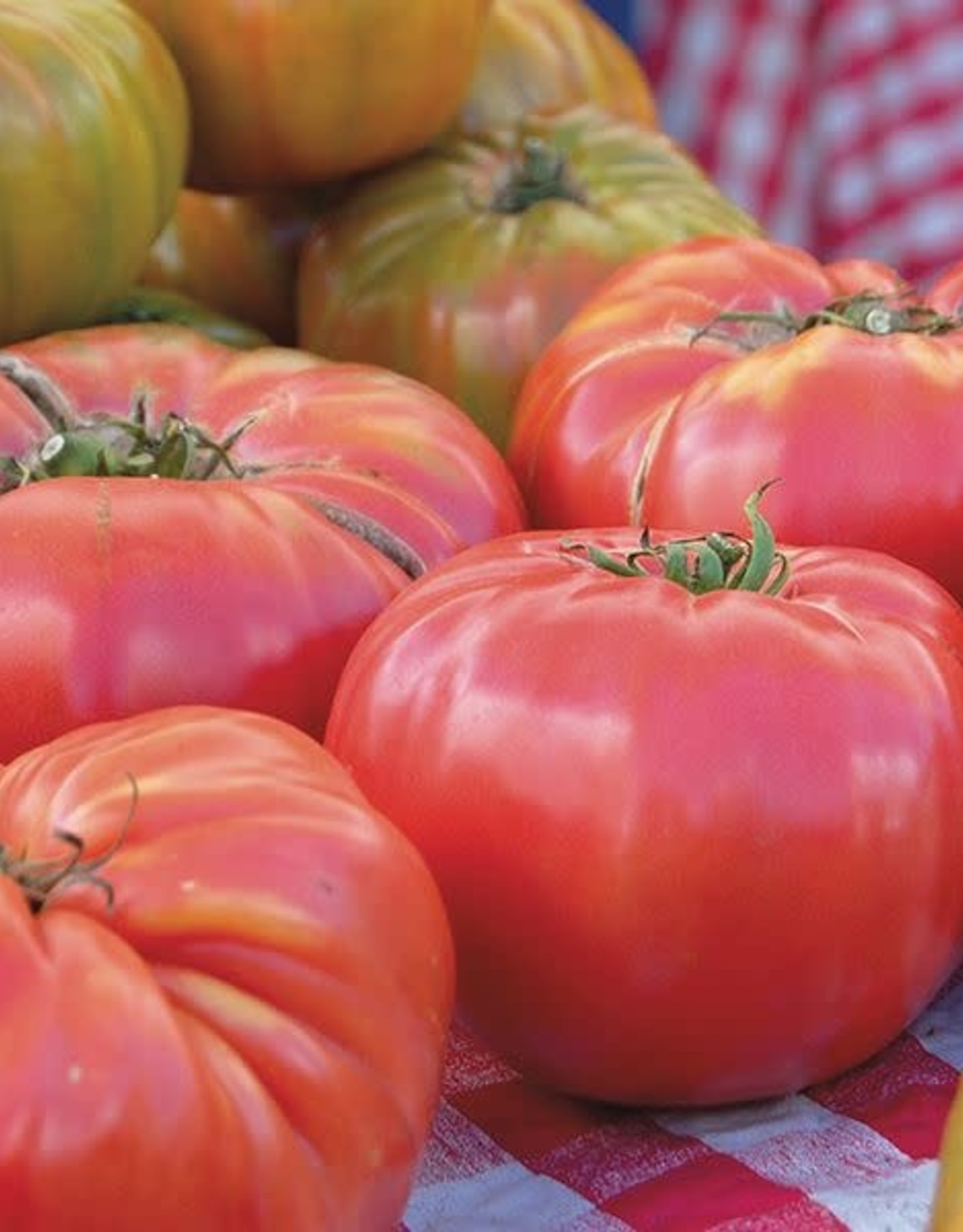 High Mowing Seed HM Brandywine Tomato  1/10 GRAM