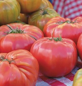 High Mowing Seed HM Brandywine Tomato  1/10 GRAM