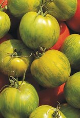 High Mowing Seed HM Green Zebra Tomato  1/10 GRAM