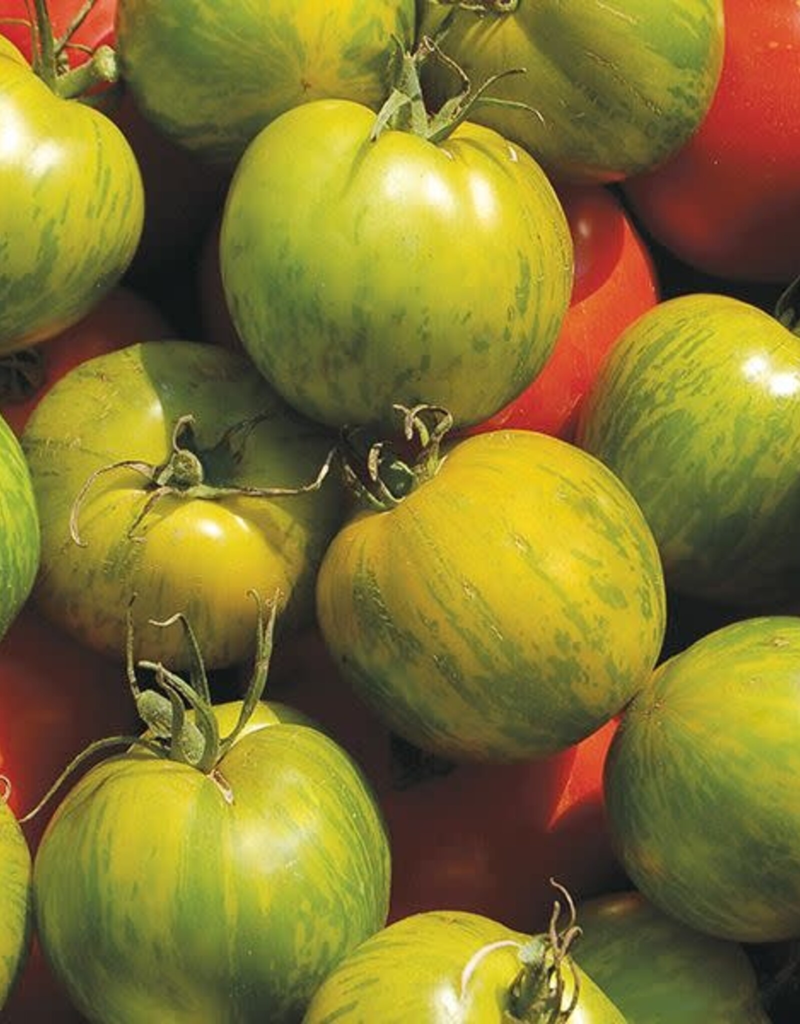 High Mowing Seed HM Green Zebra Tomato  1/10 GRAM