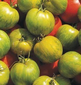 High Mowing Seed HM Green Zebra Tomato  1/10 GRAM