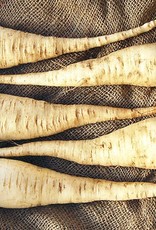 High Mowing Seed HM Lancer Parsnip: 1/32 OZ