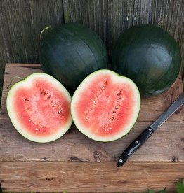 High Mowing Seed HM Sugar Baby Watermelon: 1/16 OZ