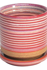 Ellora Planter with Attached Saucer Cherry 4.5"