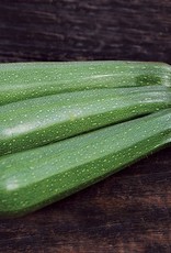 High Mowing Seed HM Dark Green Zucchini  1/8 OZ