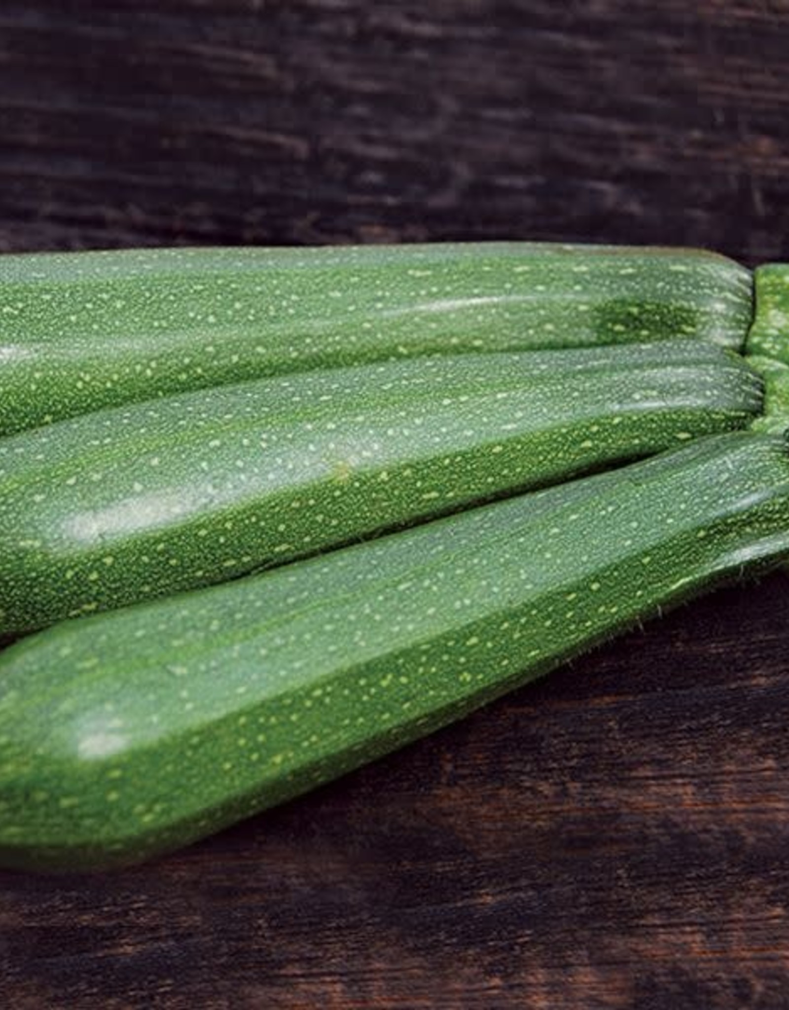 High Mowing Seed HM Dark Green Zucchini  1/8 OZ