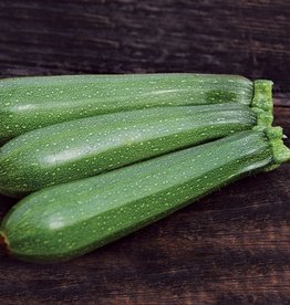 High Mowing Seed HM Dark Green Zucchini  1/8 OZ