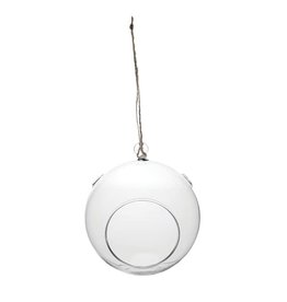 Syndicate Syndicate Home & Garden® Glass Hanging Terrarium  - Round - 7in Diam with 3.625in Opening
