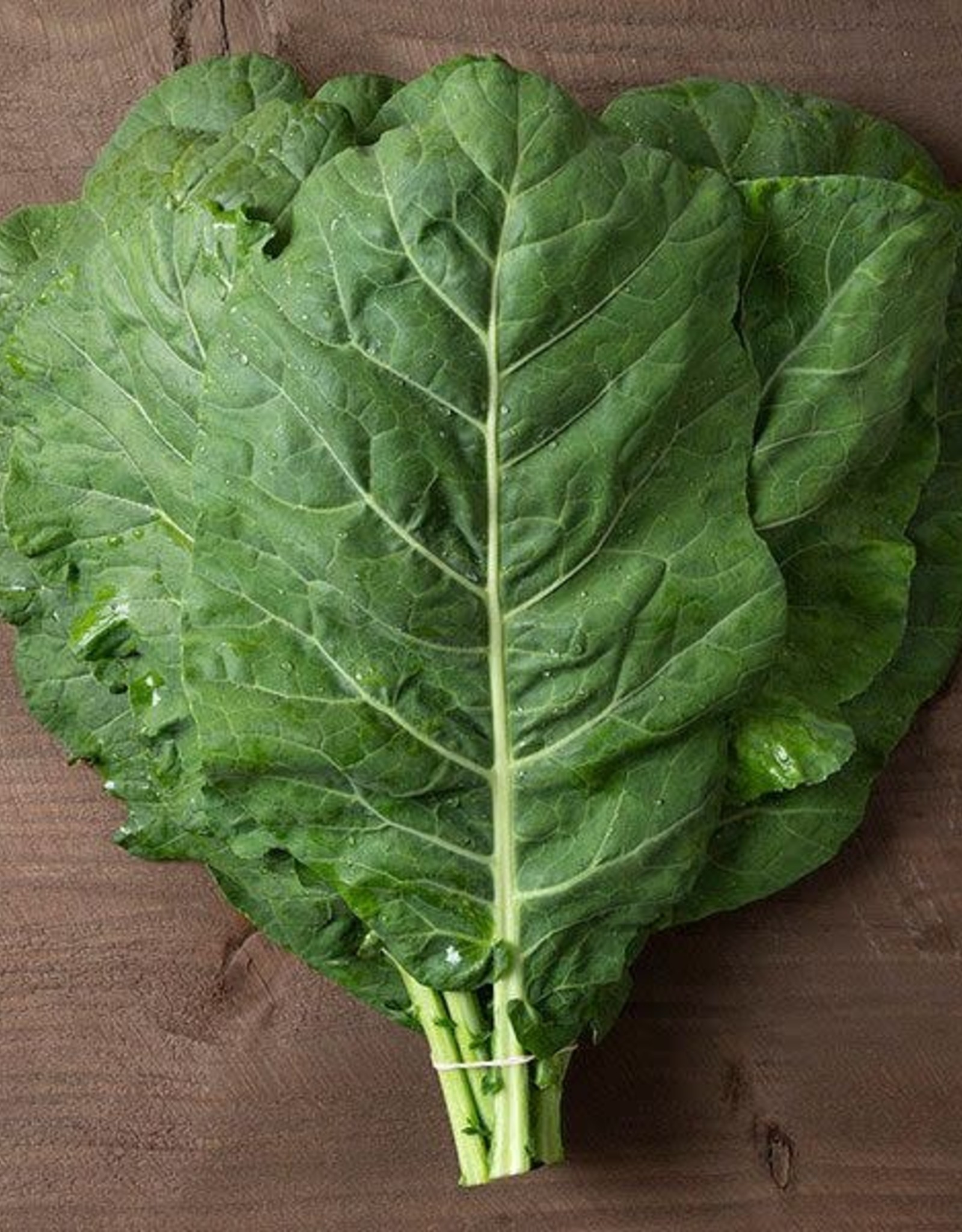 High Mowing Seed HM Champion Collards  1/32 OZ