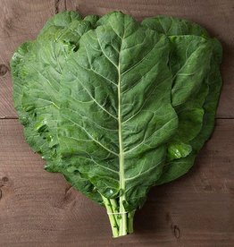 High Mowing Seed HM Champion Collards  1/32 OZ