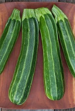 High Mowing Seed HM Cocozelle Zucchini  1/8 OZ