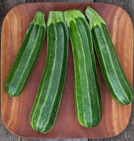 High Mowing Seed HM Cocozelle Zucchini  1/8 OZ