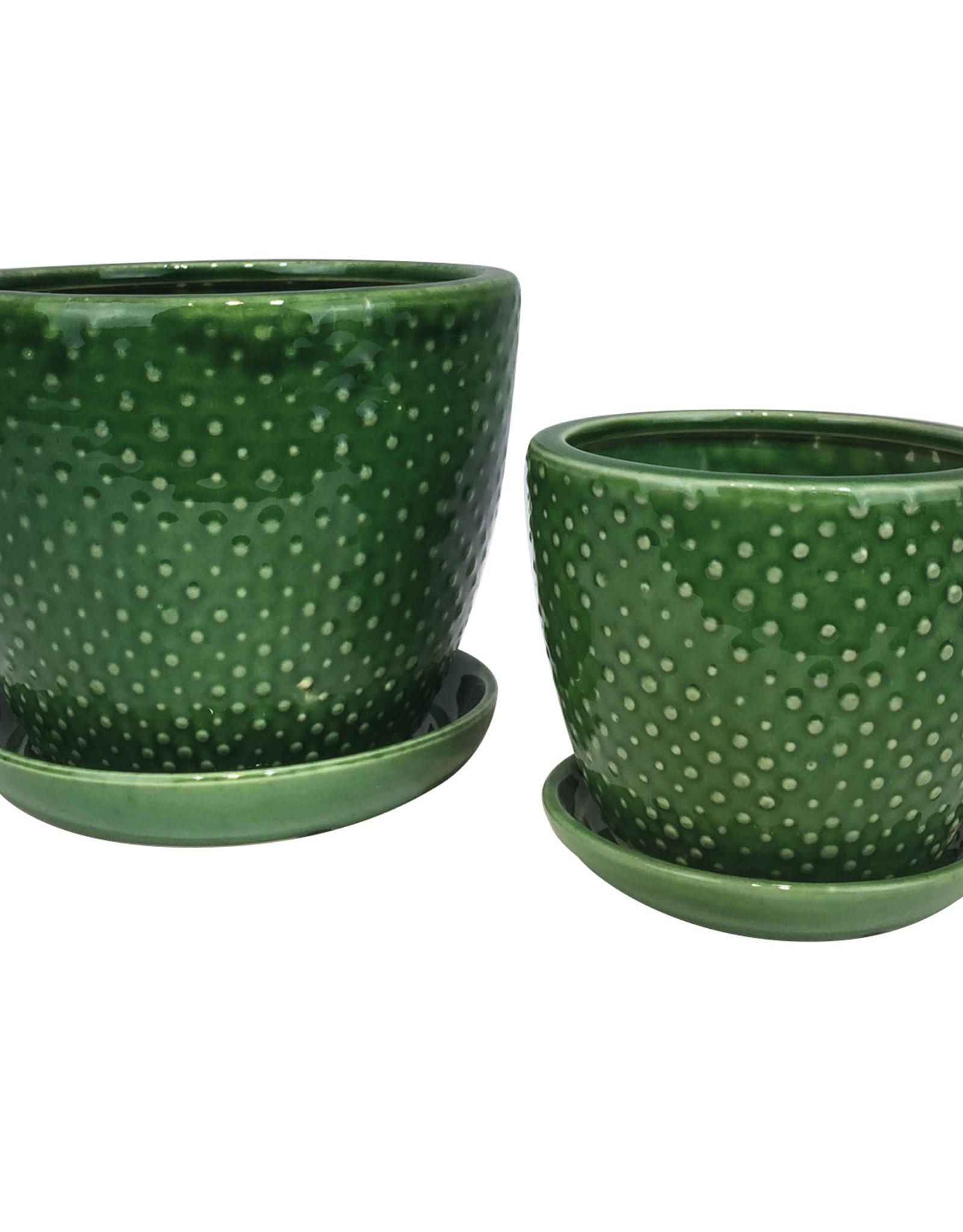 Classic Dot with Attached Saucer Emerald 6"
