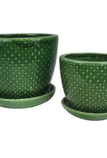 Classic Dot with Attached Saucer Emerald 8"
