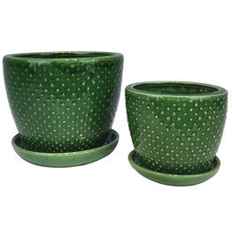 Classic Dot with Attached Saucer Emerald 8"
