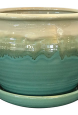 Archdale Planter Moss 6"