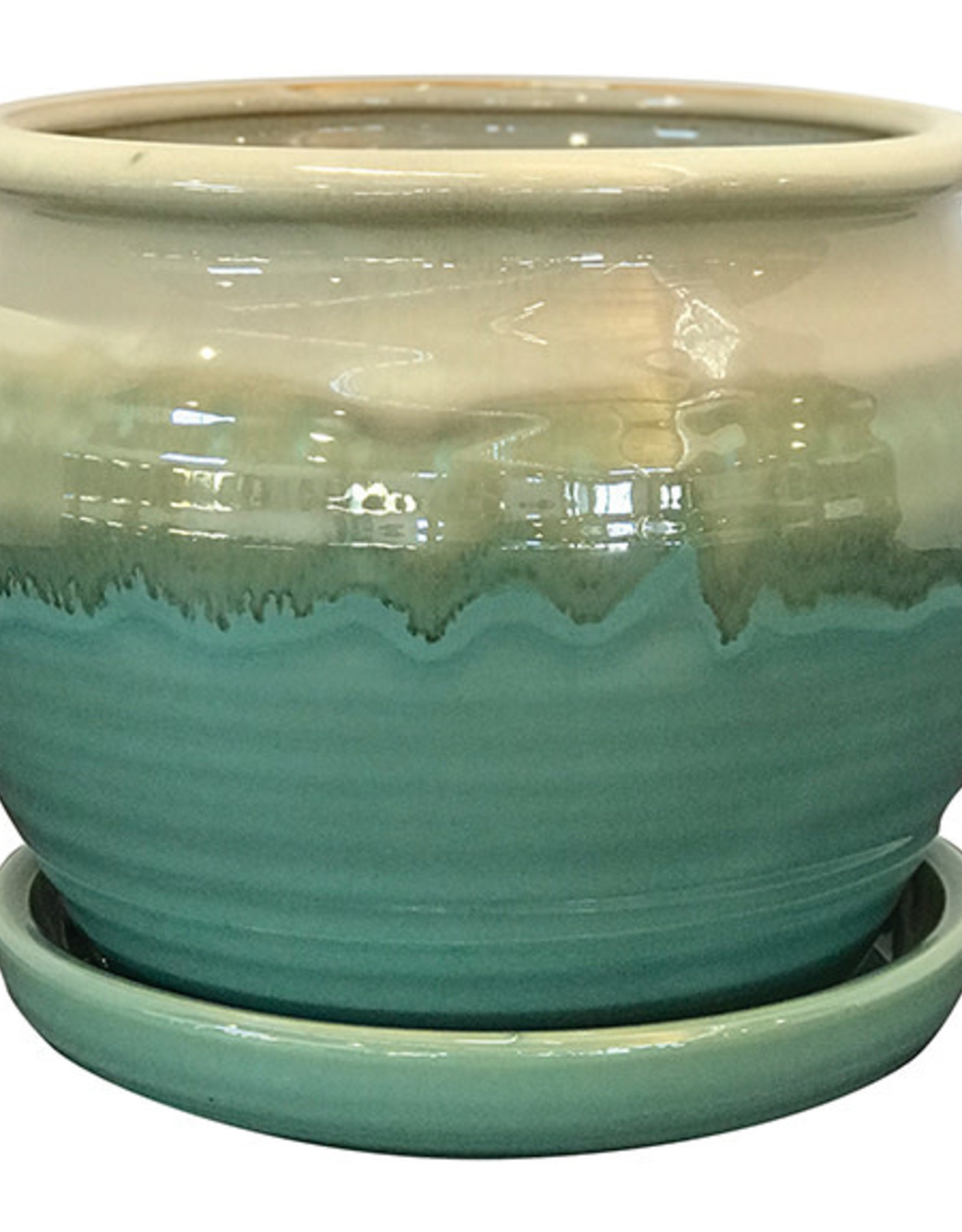 Archdale Planter Moss 6"