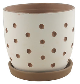Hallie Dot Planter White Chocolate 4"