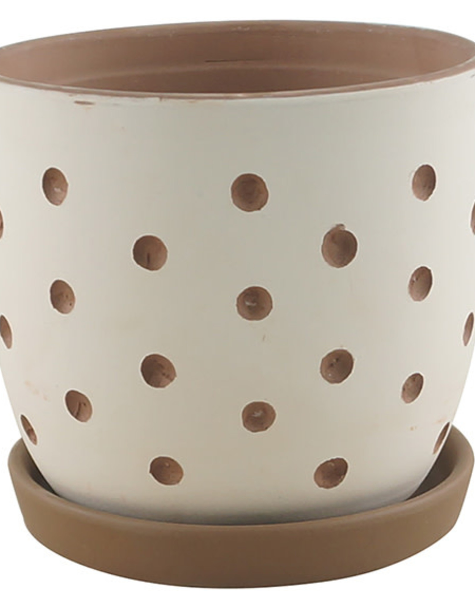 Hallie Dot Planter White Chocolate 5.5"