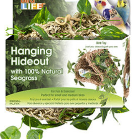 PENN-PLAX INC Hanging Hideout - Bird