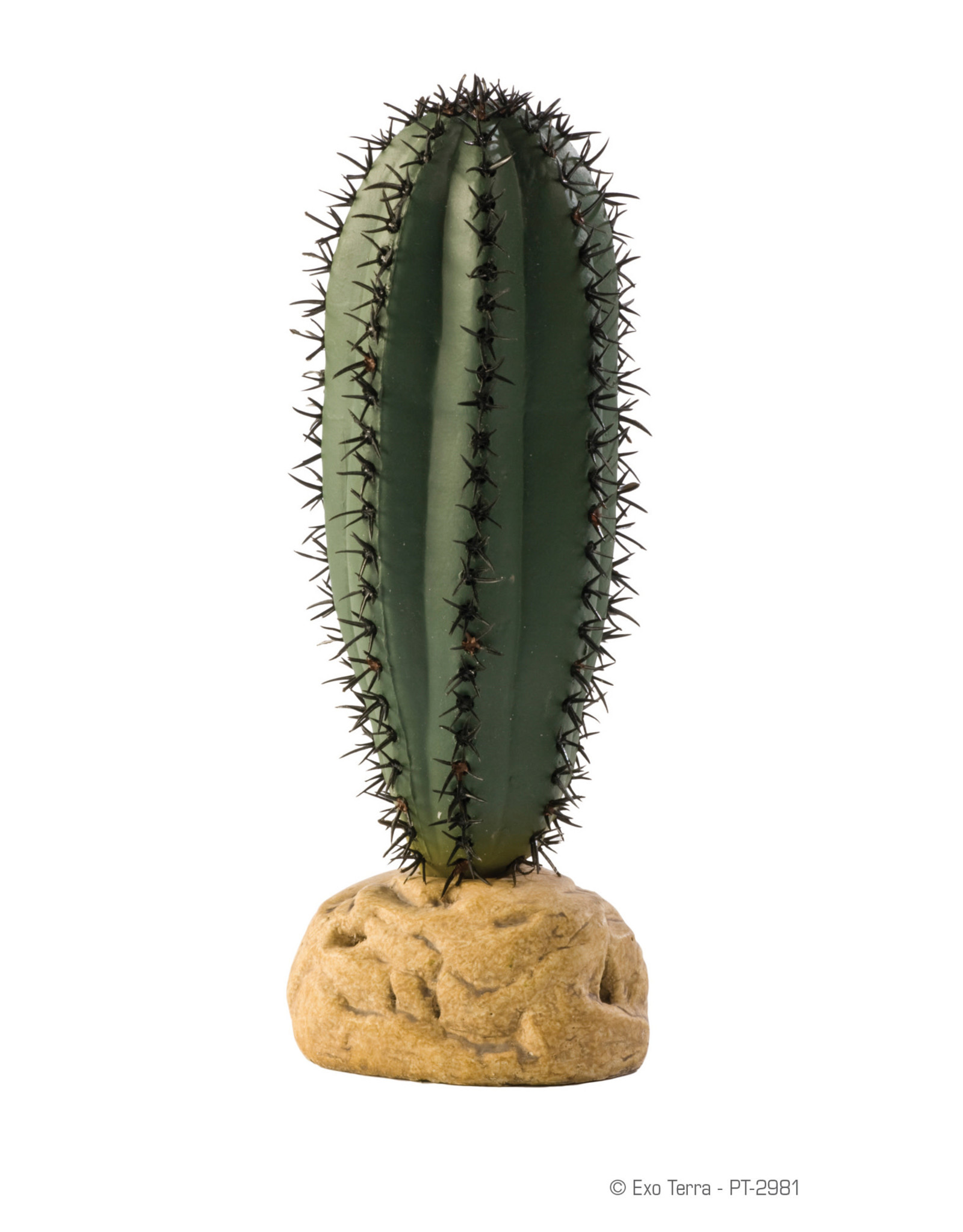 Hagen Exo Terra Saguaro Cactus Terrarium Plant