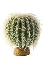 Hagen Exo Terra Barrel Cactus Terrarium Plant, Medium