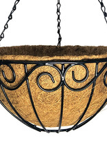 Norfolk Hanging Moss Basket 14"