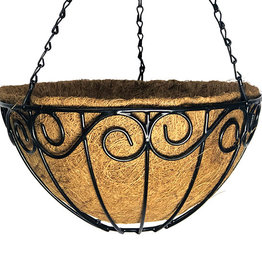 Norfolk Hanging Moss Basket 14"