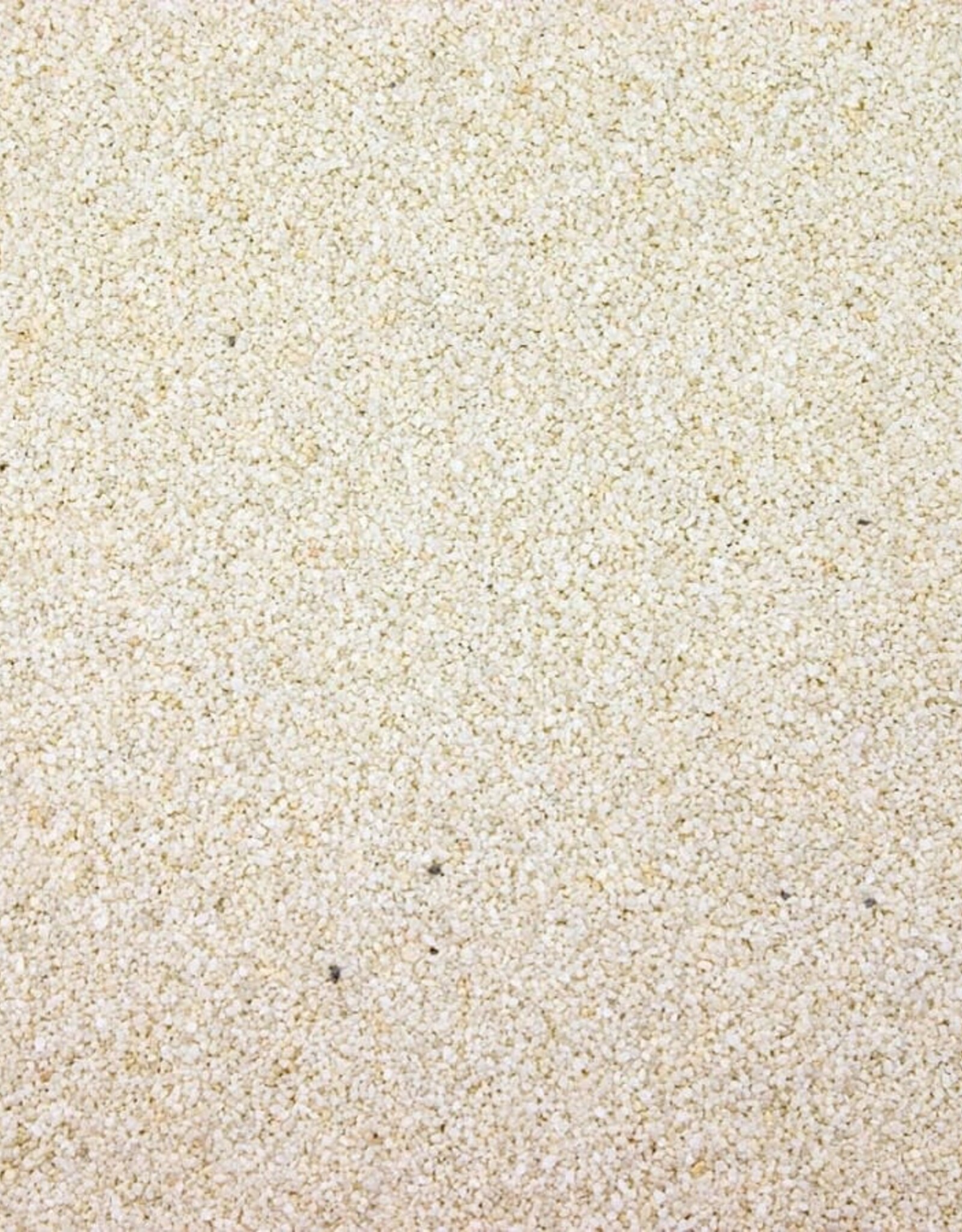 CLIFFORD W ESTES  (ESTES) CLI Reef Sand White 5#