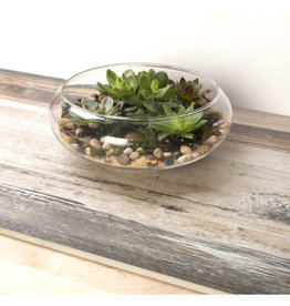 PANACEA GLASS TERRARIUM FLAT BOWL 10 IN