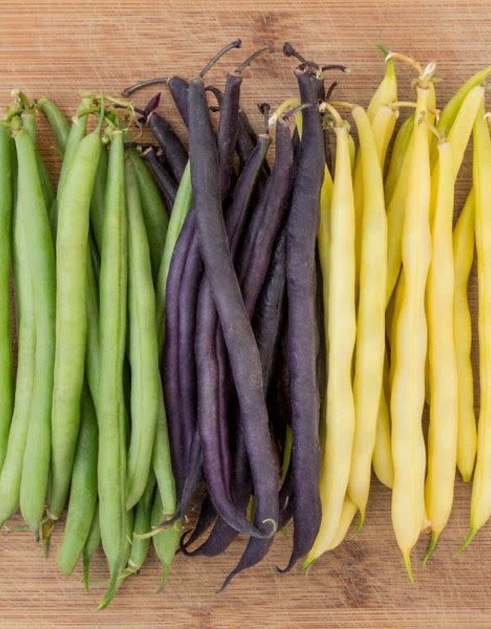 High Mowing Seed HM Mardi Gras Bean Blend  1 OZ