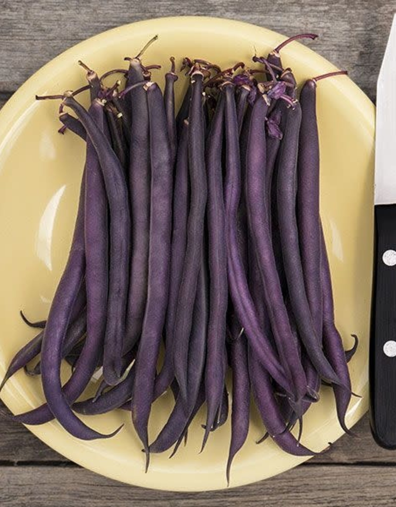 High Mowing Seed HM Royal Burgundy Bush Bean: 1 OZ