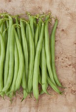 High Mowing Seed HM Strike Bush Bean  1 OZ