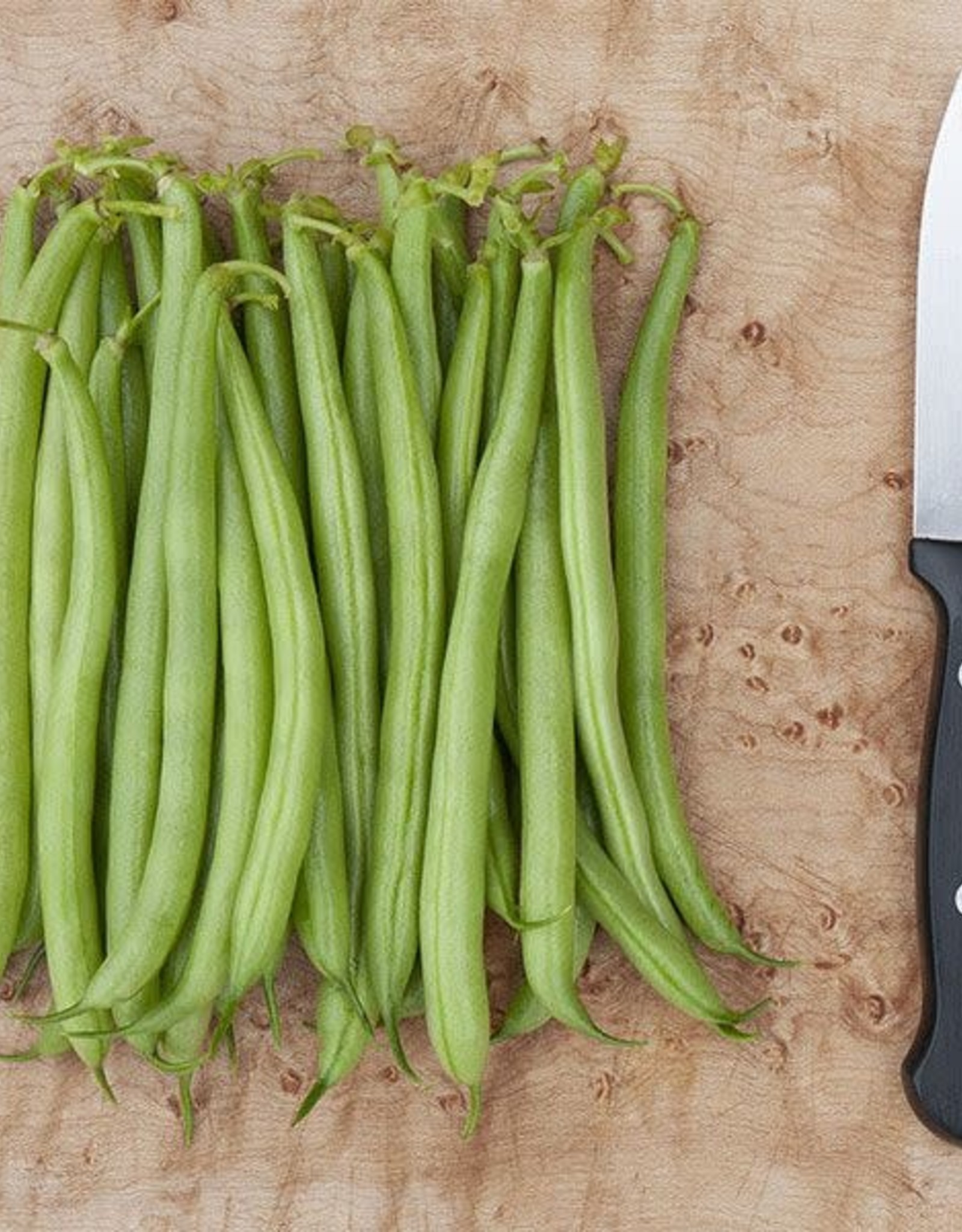 High Mowing Seed HM Strike Bush Bean  1 OZ