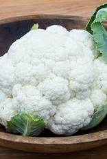 High Mowing Seed HM Adona F1 Cauliflower  10 SEEDS