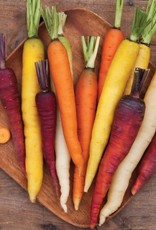 High Mowing Seed HM Starburst Carrot Blend: 250 SEEDS