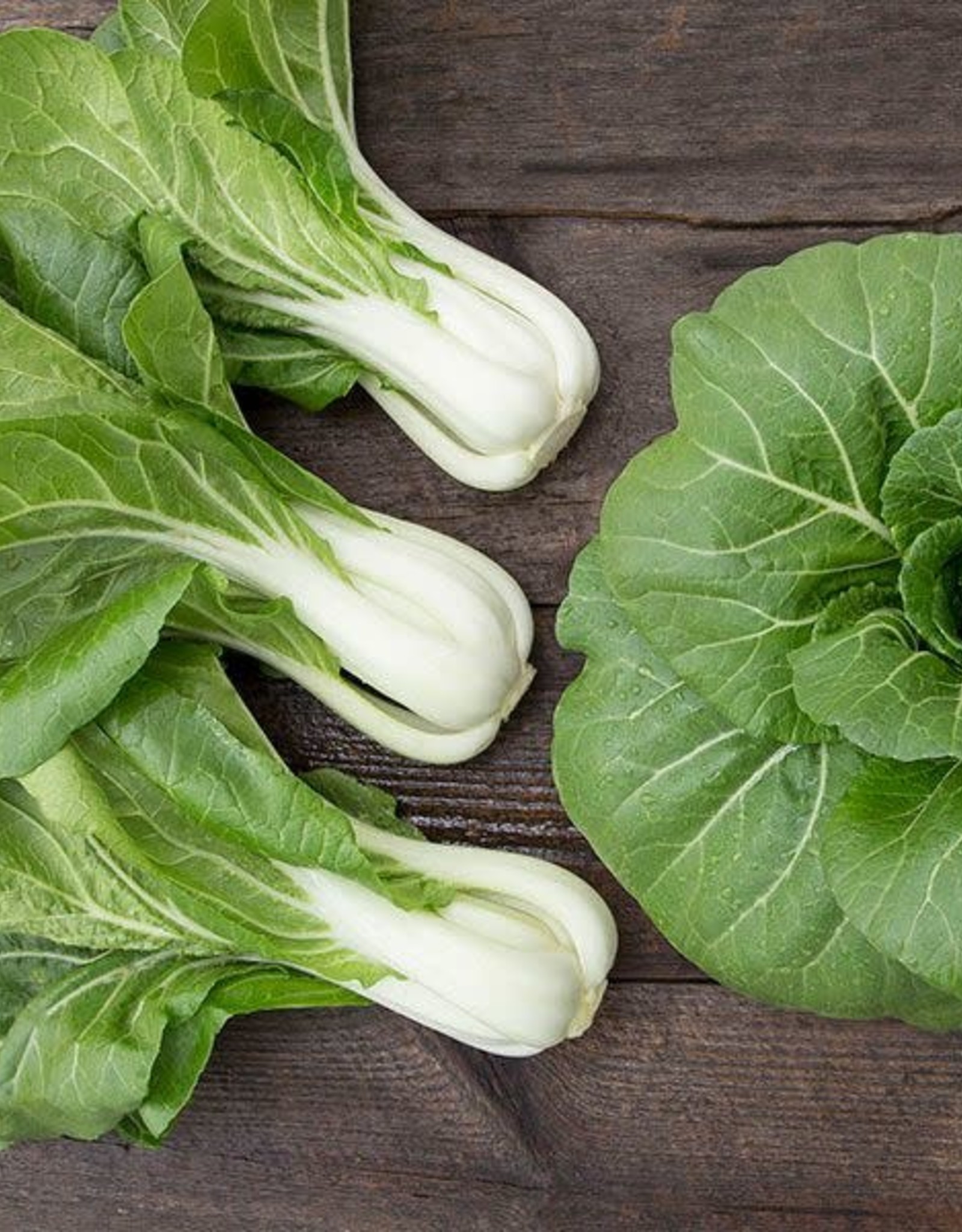 High Mowing Seed HM Bopak F1 Pac Choy  25 SEEDS