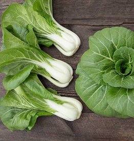 High Mowing Seed HM Bopak F1 Pac Choy  25 SEEDS