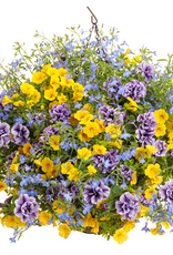 Proven Winners Annual Hanging Basket- New Hope 12 inch-2026 PRE-BOOK