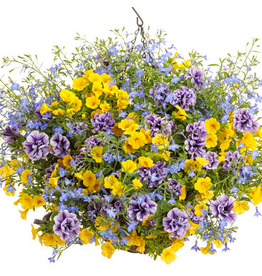 Proven Winners Annual Hanging Basket- New Hope 12 inch- Pre-Book 2024