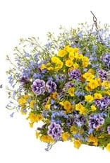 Proven Winners Annual Hanging Basket- New Hope 12 inch-2026 PRE-BOOK