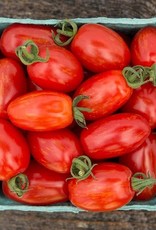 High Mowing Seed HM Supernova Cherry Tomato  1/10 G