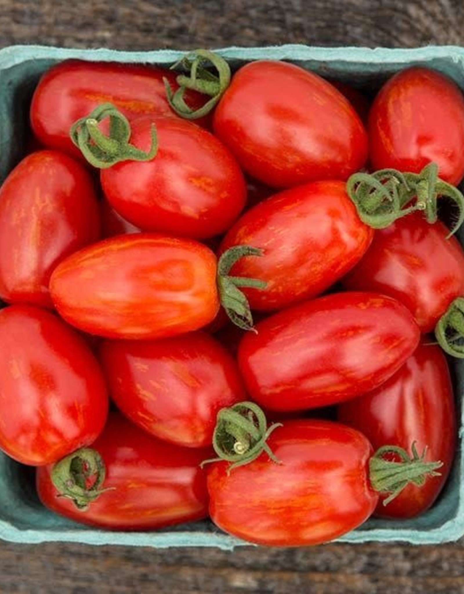 High Mowing Seed HM Supernova Cherry Tomato  1/10 G