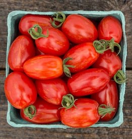 High Mowing Seed HM Supernova Cherry Tomato  1/10 G