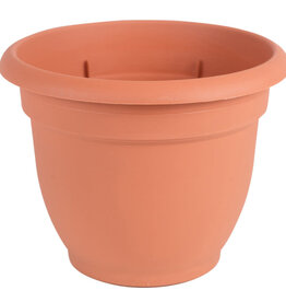 Bloem Ariana Terra Cotta 20 in